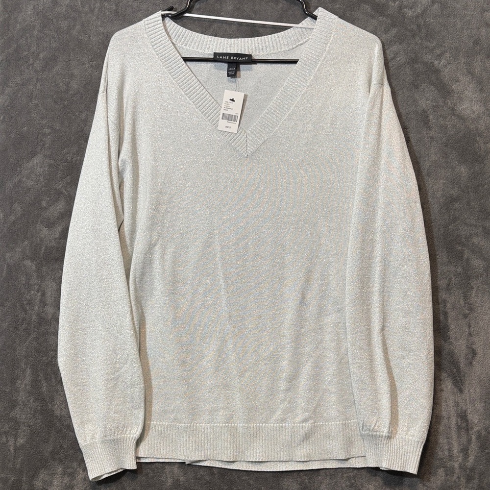 Lane Bryant Soft Gray V-Neck Sweater for Men